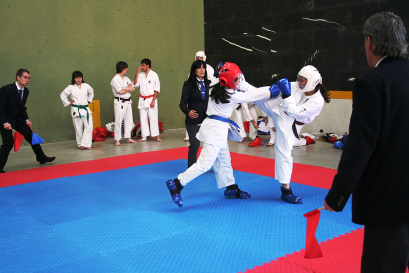 Campeonato Navarro de Kenpo